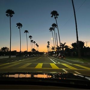 Meet your Posher, Maddi